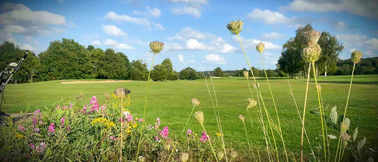 Quand-le-golf-inspire-la-création-artistique Club Autruche